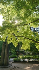 Appreciate the moment. 