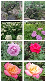 ☀( *¯ㅿ¯*)暑っ💦