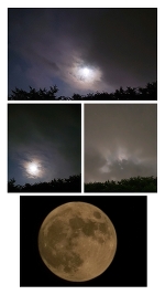 Strawberry  Moon🍓