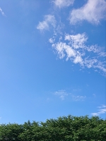 青空☀