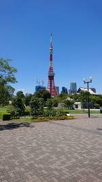タワー🗼