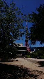 人間万事塞翁が馬