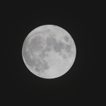 スタジェンムーンSturgeon Moon🌕