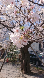 暑いのか寒いのか