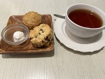 おやすみday☕️