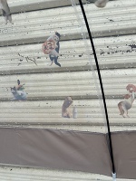 出勤します❣️