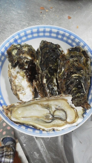 美味しいかった