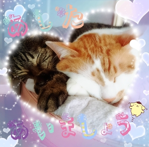 出勤してますわよ❤…