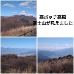 ナガノ
