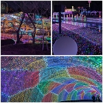氷点下