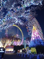 Merry Christmas🎄🎅✨