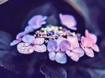 お気に入り(*´◒`*)