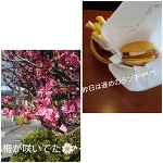 鼻が…
