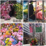 寒いね:;((•﹏•๑)));: