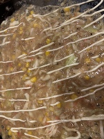 出勤しました❣️