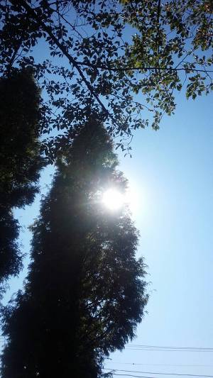おはようございます☀
