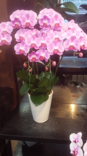 こんにちは😊🎶