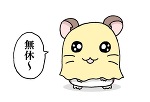 🌟夏の思い出つくろ？🎆