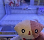 なーさん🐱ゲットしたよ(･‎ࠏ･ 彡　)з
