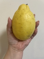 この後20:00最終受付まで★明日のお誘いも…