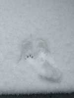 明日の月曜日から出勤です❣️