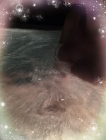 ✨ありがとう♨️💜✨