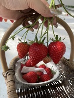 出勤してます🍀