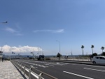 出勤しました❣️
