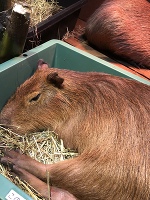 オービィ横浜に行ってきました。