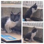 深夜のみさきです。