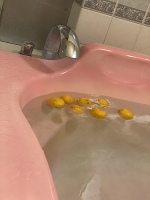 おはようございます。