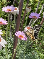 本日出社です。