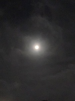 深夜のみさきです。