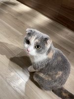 また今度🐈🐈‍⬛💖☆こころ☆