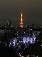 昨日のお礼の年末年始