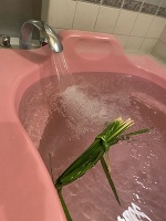 深夜のみさきです。