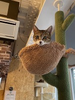 この前🐈🐰🌟💓