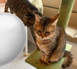 この前🐈🐰🌟💓