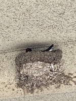 おはようございます。