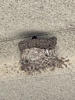 おはようございます。