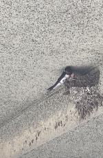 深夜のみさきです。