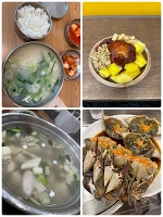 お久しぶりですわ！