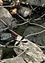 おはようございます。