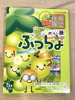 今日の有難う🐰🌟💓