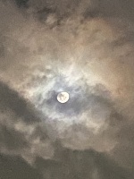 深夜のみさきです。