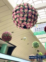 知ってた？🥹💐🌸🌹🌼🌷