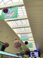 知ってた？🥹💐🌸🌹🌼🌷