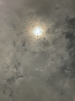 深夜のみさきです。