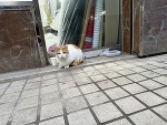 来週から出勤❣️