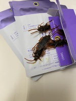 深夜のみさきです。